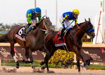 La Pegasus World Cup
