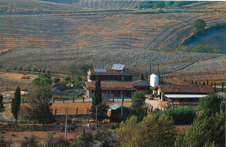 tenuta