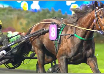 Ippica italiana sugli scudi a Vincennes
