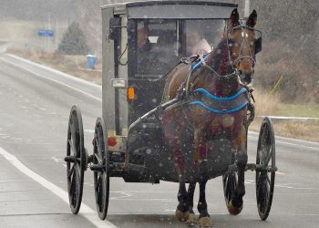 Un rescue d’altri tempi: arrivano gli Amish