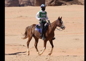 Clear Endurance: Yaiza, che è morta in gara