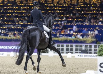 Dressage: un nuovo gruppo di lavoro Fei