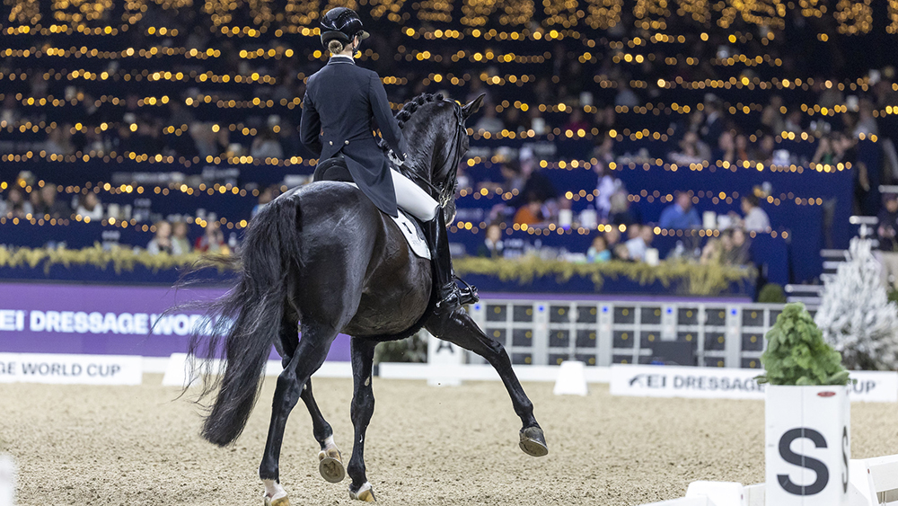 Dressage: un nuovo gruppo di lavoro Fei