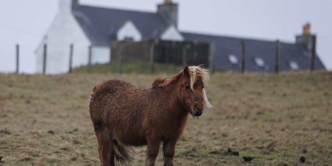Isole Shetland: sarà il Geoparco…