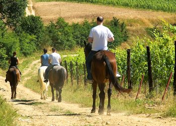 Giubileo 2025: Equiraduno dell’Anno Santo