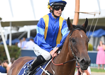 Rachel King, queen del turf in Giappone