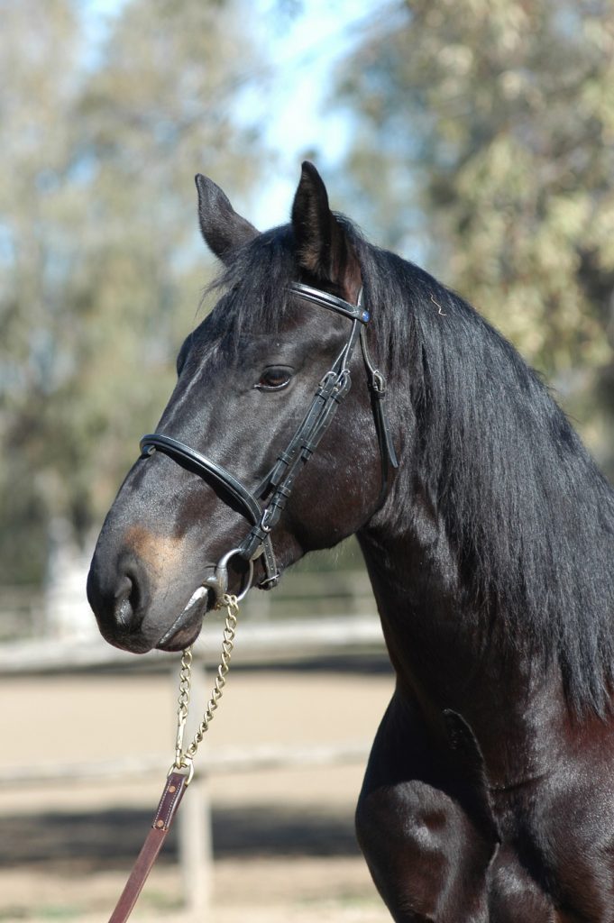 M.NERONE-DSC_0065 M.NERONE DSC 0065 681x1024