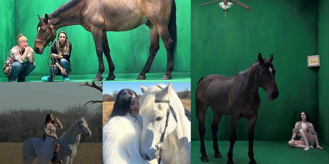 Lambertus e Maxù: le star del videoclip di Gaia