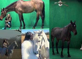 Lambertus e Maxù: le star del videoclip di Gaia