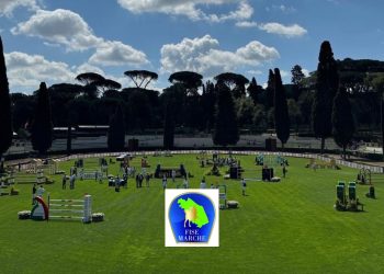 Selezioni FISE Marche per Piazza di Siena 2025