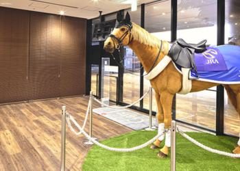 Cavalli animatronic: quando la tecnologia galoppa