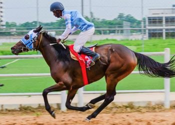 Nigeria: l’ippica come risorsa