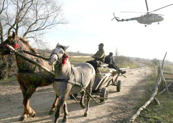 Cavalli in guerra (ancora…)