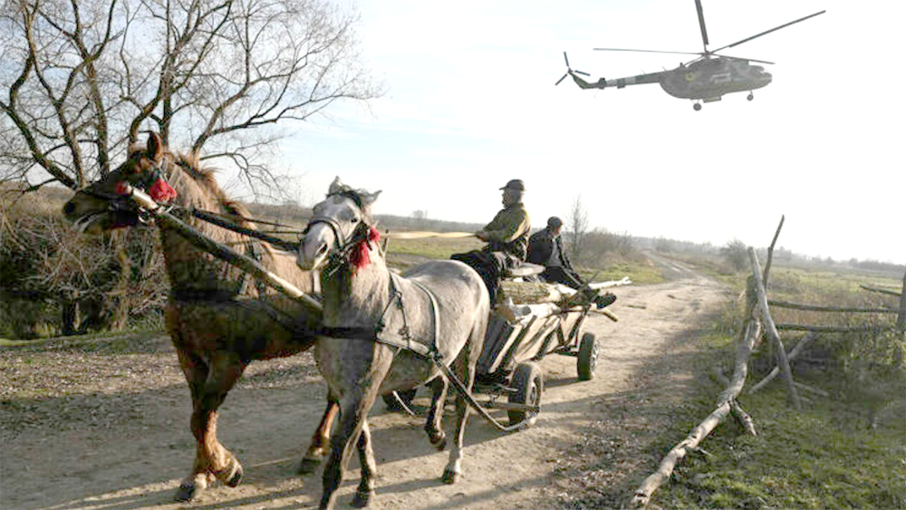 Cavalli in guerra (ancora…)