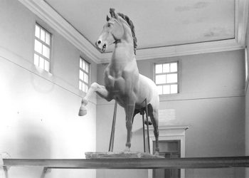 Il Cavallo Colossale torna in sala