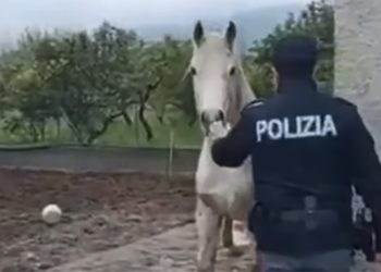 Altri sei a Catania…