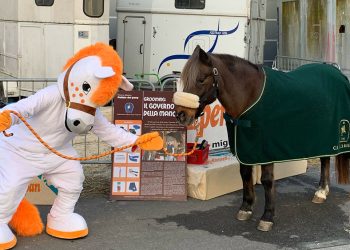 Emilia Romagna: nuovo corso degli sport equestri