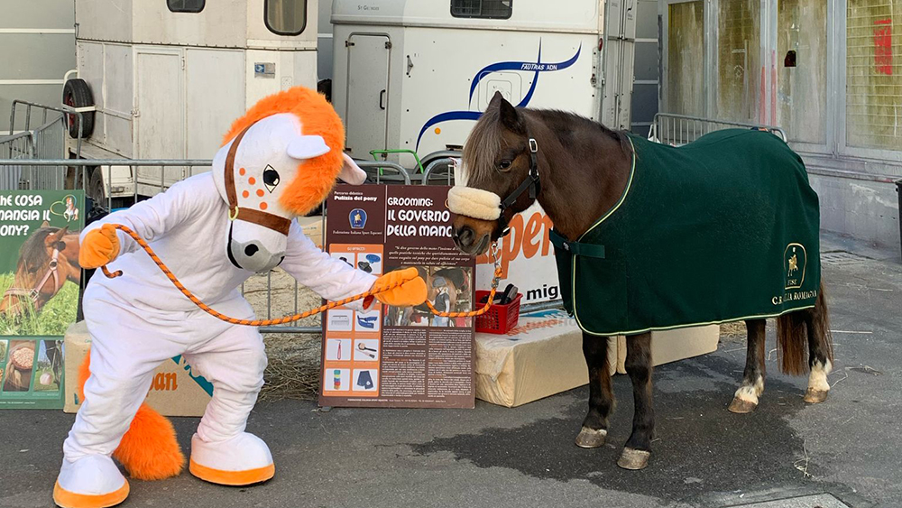Emilia Romagna: nuovo corso degli sport equestri