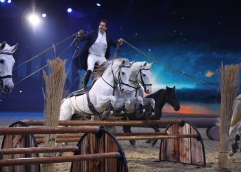 EQUITANA 2025: Meeting Point Mondiale degli Sport Equestri