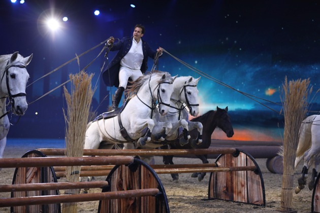 EQUITANA 2025: Meeting Point Mondiale degli Sport Equestri