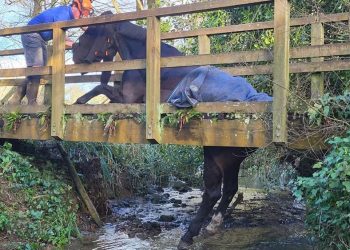 Quel ponte adesso non c’è più…