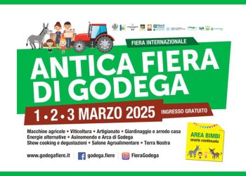L’arca di Godega
