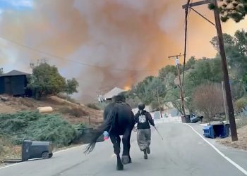 Los Angeles: piccole storie, grande coraggio