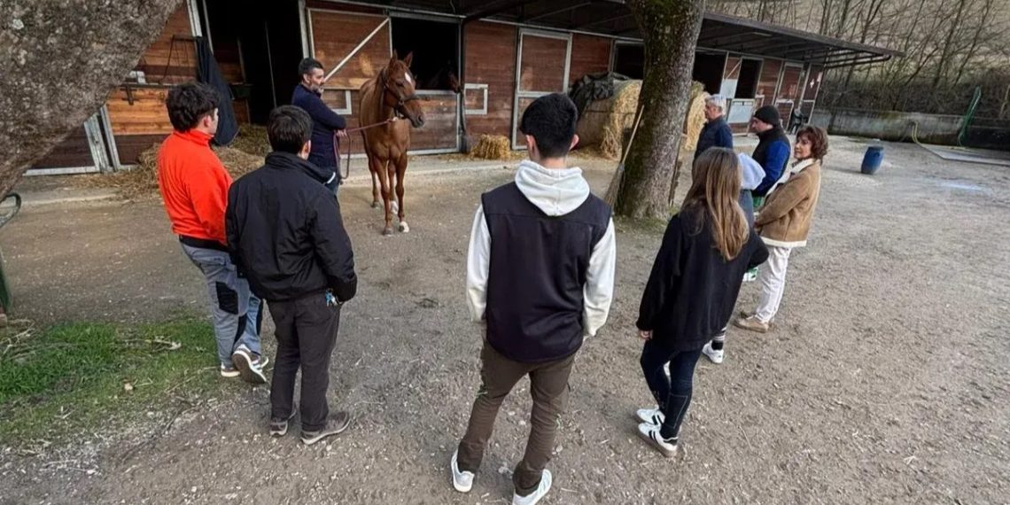 Siena, il rapporto uomo-cavallo e le nuove professioni