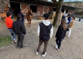 Siena, il rapporto uomo-cavallo e le nuove professioni