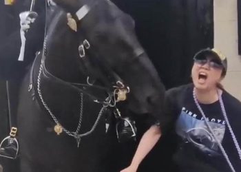 Scicli: morso dal cavallo finisce in ospedale