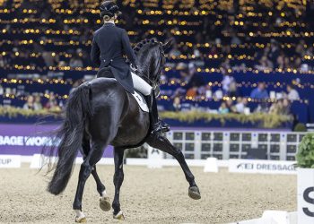 Social Licence: la Fei chiede più equilibrio nell’informazione