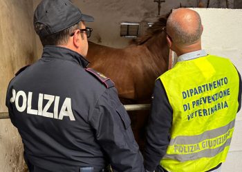 Nuovo intervento a San Cristoforo