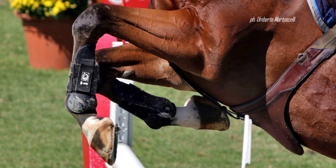 Salto ostacoli: under 25 in evidenza
