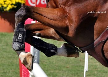 Salto ostacoli: under 25 in evidenza