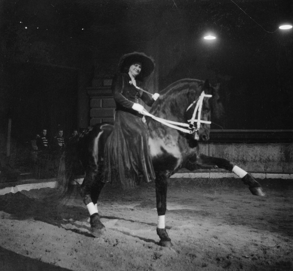 Circus_Strassburger_._Mevrouw_Strassburger_op_paard,_Bestanddeelnr_903-1491 Circus Strassburger . Mevrouw Strassburger op paard Bestanddeelnr 903 1491 1024x947
