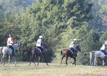 Martina, più di una promessa a 17 anni