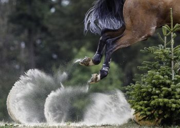 Azzurri all’estero nel weekend: completo