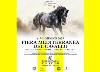 A Tenuta Ambelia La Fiera Mediterranea del Cavallo