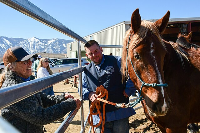 First Meeting 54349053304