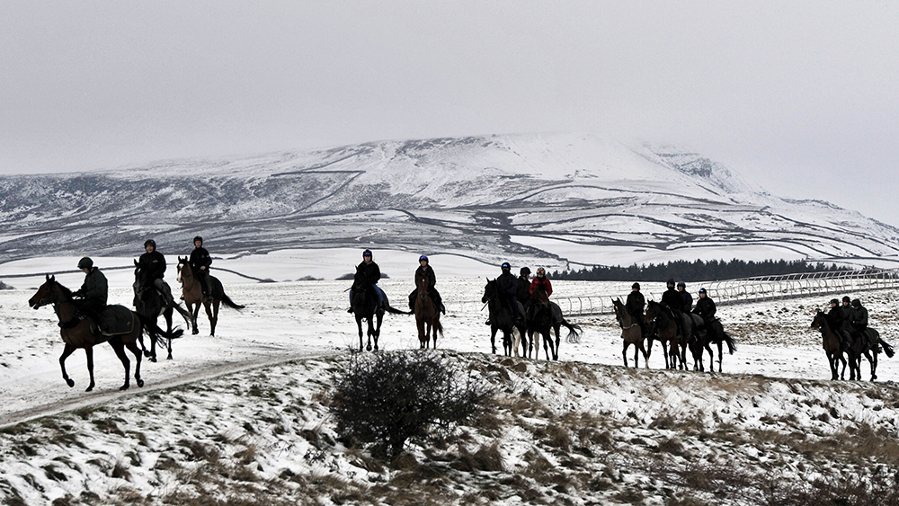 Horses exercise on the hilltops near Leyburn England on the Pennines mountain range as further snow is forecast for high ground across