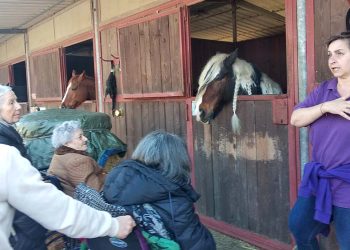Equitazione fa rima con inclusione
