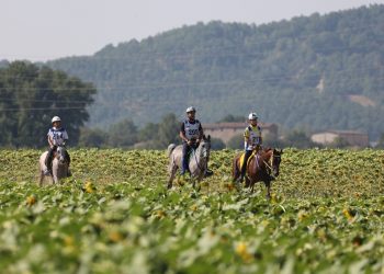 Umbria, 4 comuni e 2 province uniti dal Raid ‘Città della Pieve’