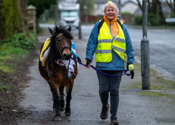 L’Ucraina nel cuore equestre