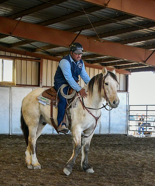 The Top Earning Horse 54347951042