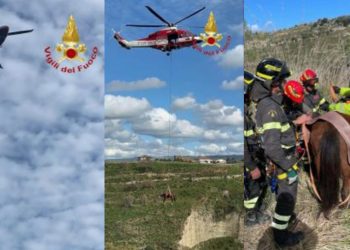 A Zambrone anche i cavalli volano