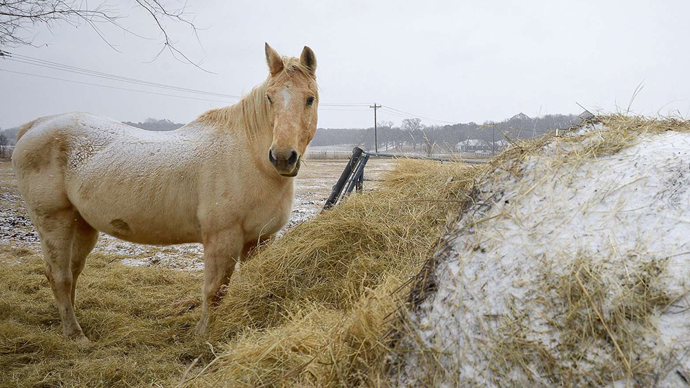 WINTER Storm in texas
