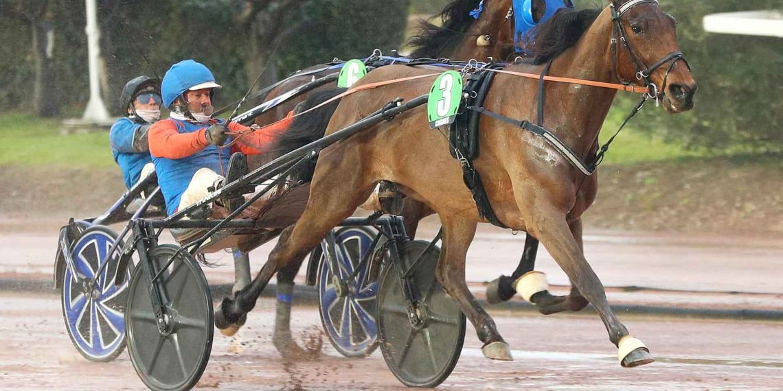 Straordinaria Emeraude De Bais nel Prix De Vitesse a Cagnes Sur Mer