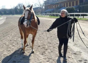 Ferrara, lavori in corso all’ippodromo