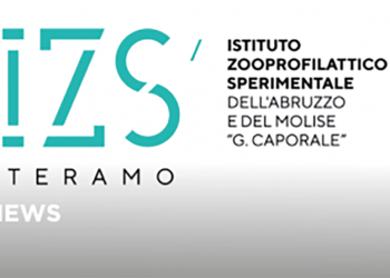 Proprietà responsabile del cavallo, il sondaggio on-line