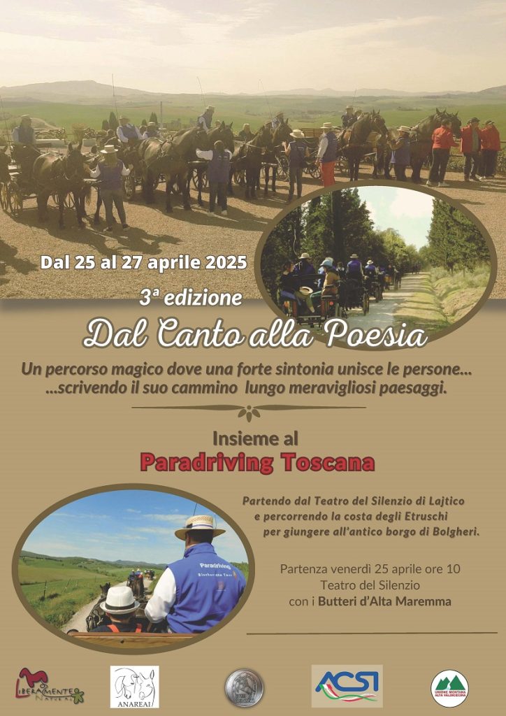 paradriving toscana locandina 25 724x1024